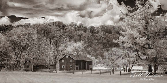Hale Farm - Infrared Sepia - Spring 2021