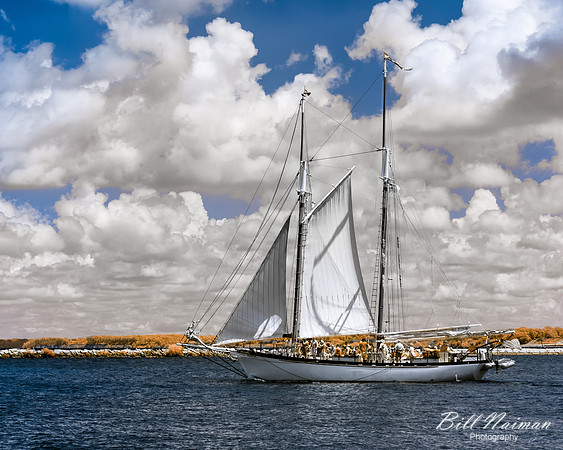 Tall Ship - Infrared faux color