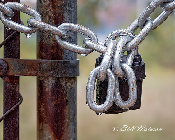 Rain Drops on Lock and Chain