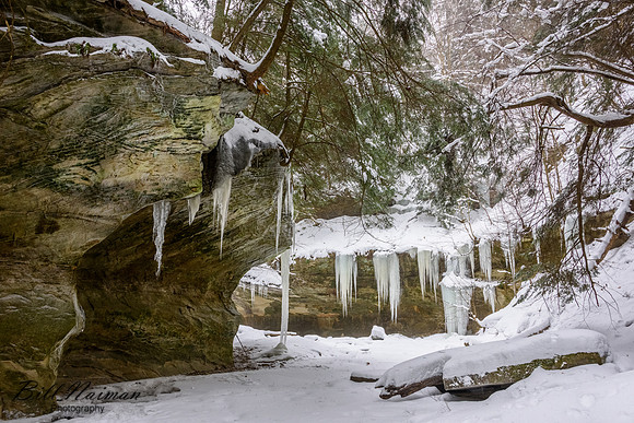Stebbins Gulch - Winter Hike 2018 (3)