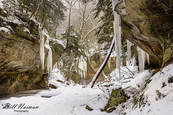 Stebbins Gulch - Winter Hike 2018 (5)