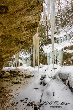 Stebbins Gulch - Winter Hike 2018 (4)