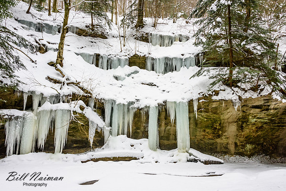 Stebbins Gulch - Winter Hike 2018 (6)