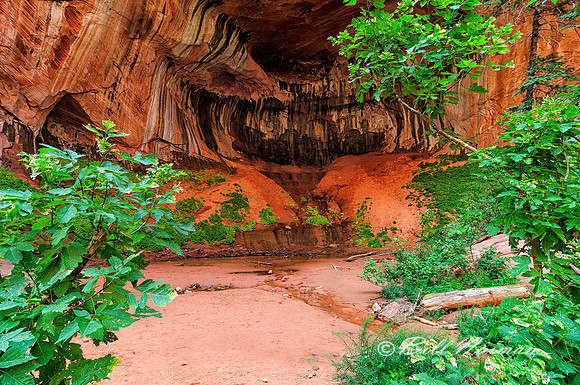 Double Arch Cove