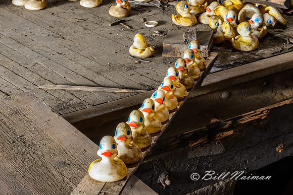 Rubber Duck Warehouse (6)