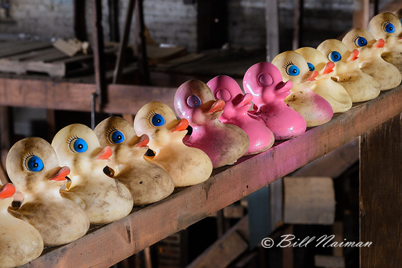 Rubber Duck Warehouse (9)
