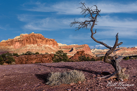 Capitol Reef 2016 (7)