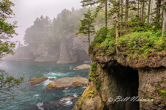 Cape Flattery 7