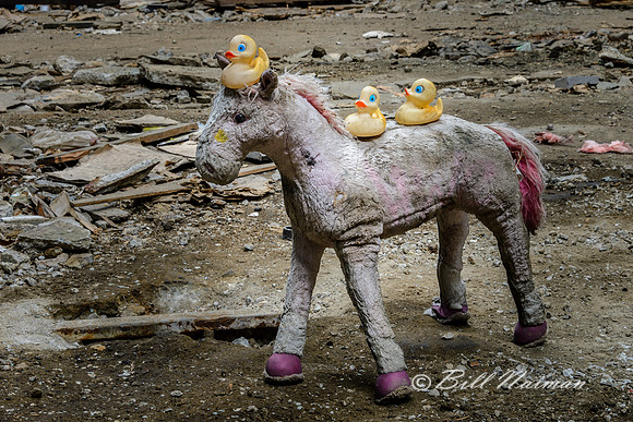 Rubber Duck Warehouse (13)