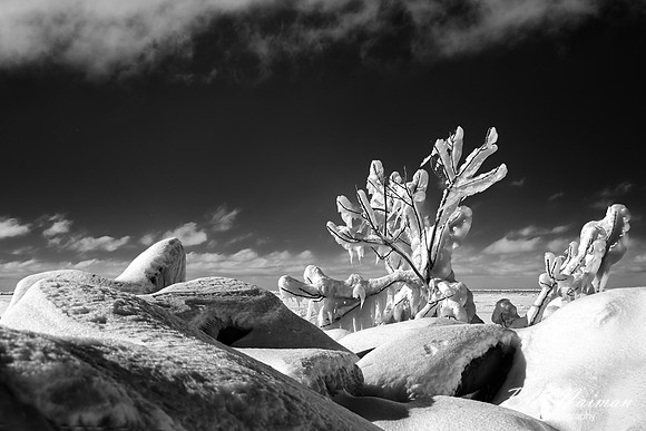 Lake Erie Shoreline in Winter - Infrared B&W