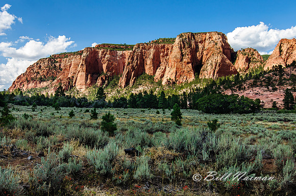 Kolob Terrace Road - 2012