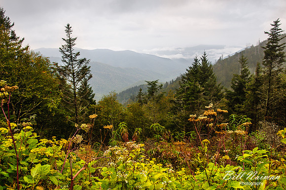 Clingman's Dome - 2011 (1)