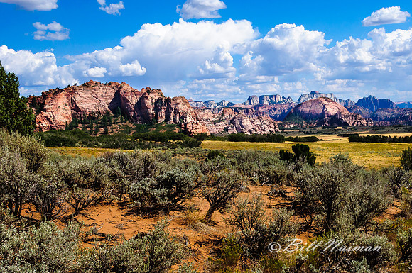 Kolob Terrace Road - 2012