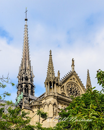 Notre Dame Cathedral Exterior (4)