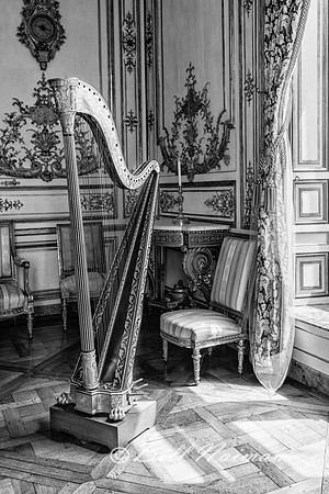Chantilly Castle - Interior (6)- Harp