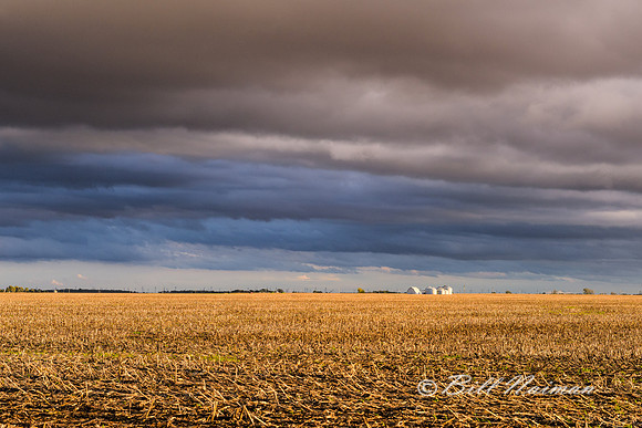 Indiana Farmland (1)