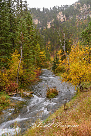 Spearfish Creek (1) - Spearfish South Dakota