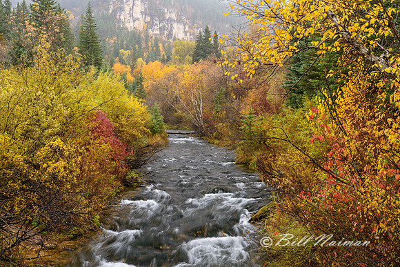 Spearfish Creek (3) - Spearfish South Dakota