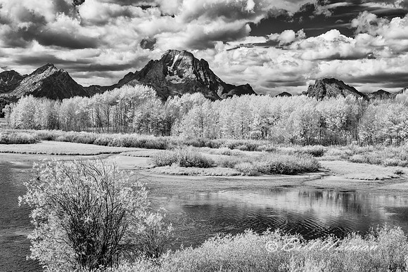 Snake River Overlook (4) - Grand Tetons - Infrared B&W