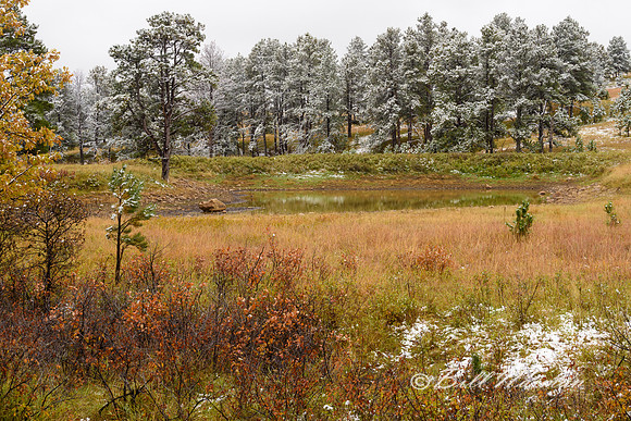 Custer State Park Fall 2018 (5)