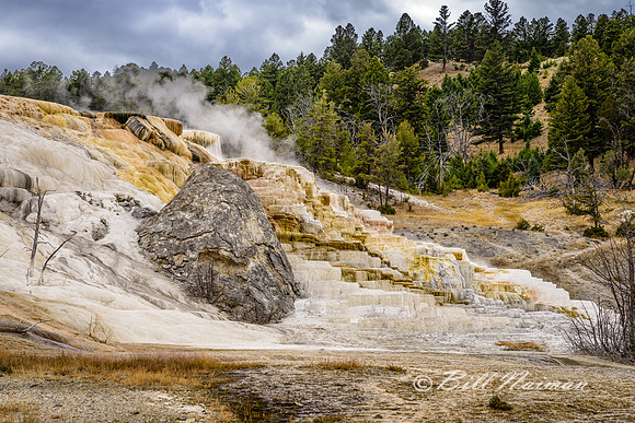Yellowstone 2018 - Mammoth Hot Springs (2)