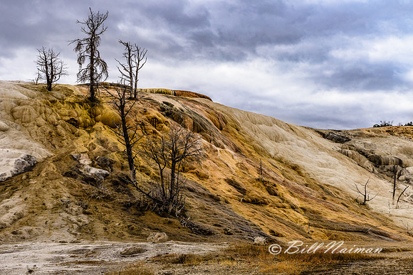 Yellowstone 2018 - Mammoth Hot Springs (4)