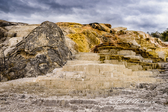 Yellowstone 2018  - Mammoth Hot Springs (3)