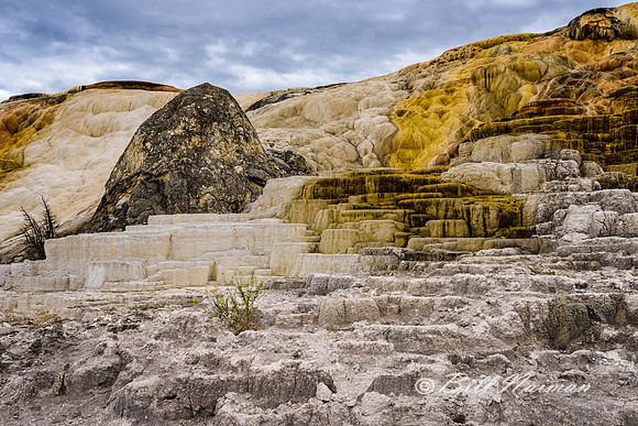 Yellowstone 2018 - Mammoth Hot Springs (5)