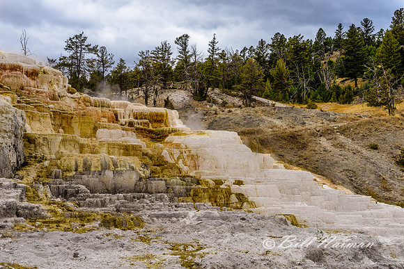 Yellowstone 2018 - Mammoth Hot Springs (6)