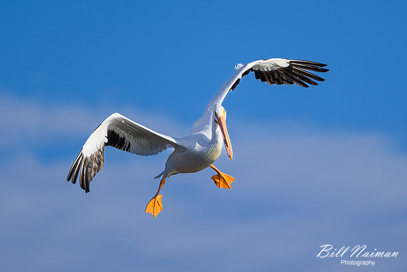 Pelican Landing Mississippi River-2025_01_09-7107