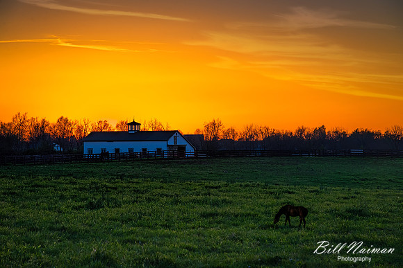 Sunset at Horse Farm