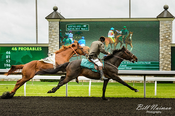 Bolting From the Starting Gate