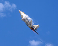Air Force F-22 Raptor 2023 (1)