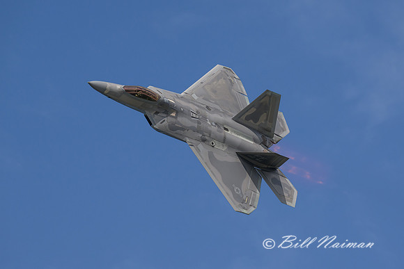 Air Force F-22 Raptor 2023 (7)