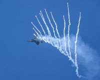 Air Force F-22 Raptor 2023 (4)