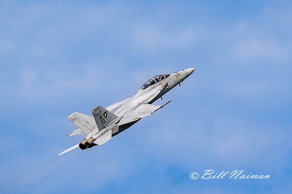 Navy FA -18 Super Hornet 2023 (1)