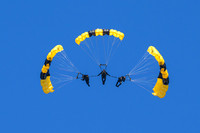 Army Golden Knights Paratroopers - 2023 (2)