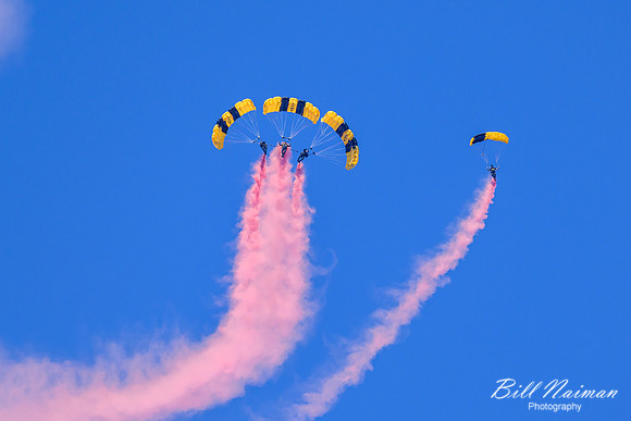 Army Golden Knights Paratroopers - 2023 (1)