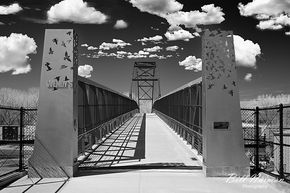 Wendy Park Bridge (2)