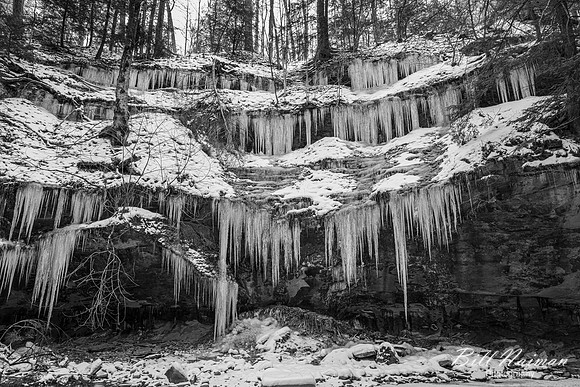 Stebbins Gulch - Winter Hike - 2023 (1)