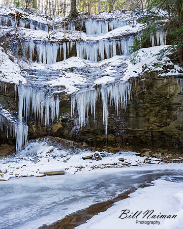 Stebbins Gulch - Winter Hike - 2023 (2)