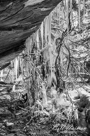 Stebbins Gulch - Winter Hike - 2023 (4)
