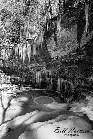 Stebbins Gulch - Winter Hike - 2023 (6)