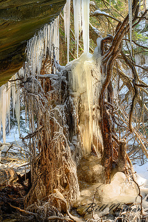Stebbins Gulch - Winter Hike - 2023 (3)