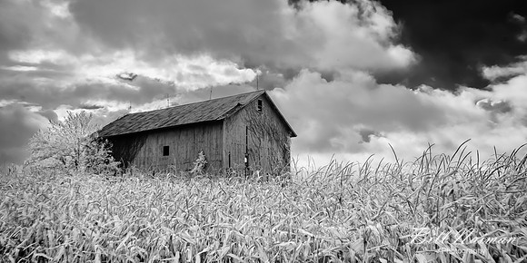 Roadside Barn Ohio (3) - Infrared B&W
