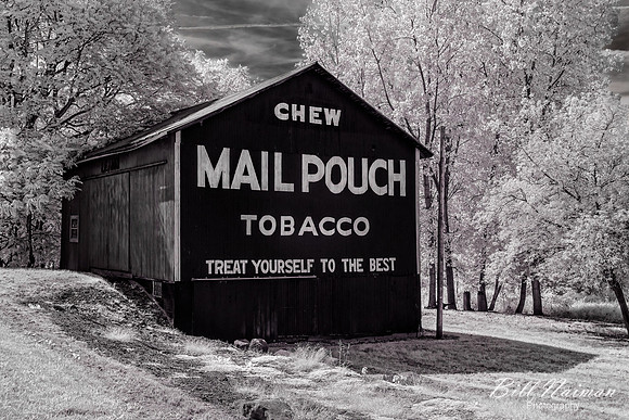 Mail Pouch Barn 2019 (2)