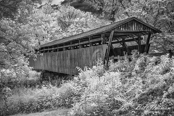 Arlie Mullet Bridge - 2