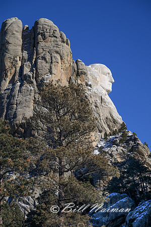 Mt Rushmore Washington's Profile 2024_1349