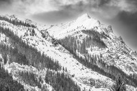 YNP Lamar Valley B&W 2024_1861