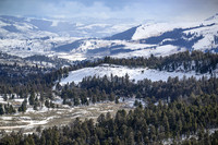 YNP Landscape 2024_2225